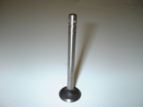 Auslaß-Ventil Fiat 1100-103E '56