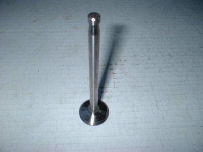 Exhaust Valve Wanderer W40