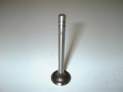 Exhaust Valve DAF 66